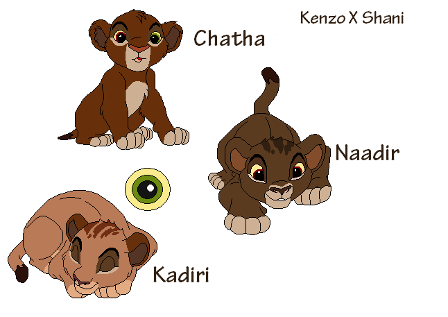 Kenzo X Shani's cubs