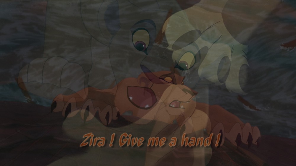 Zira ! Give me a hand !