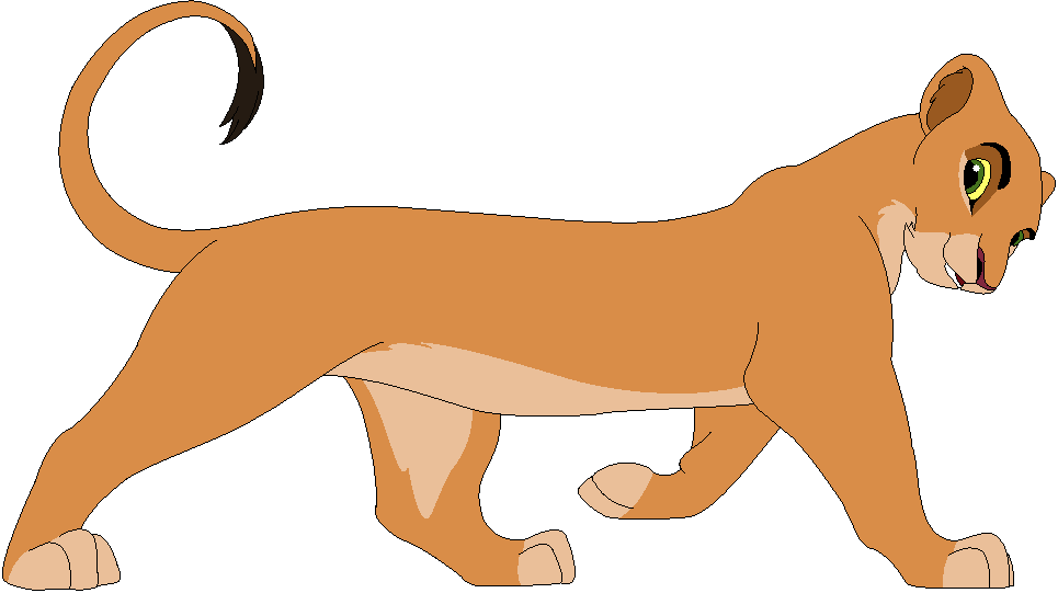 Kaita's new design