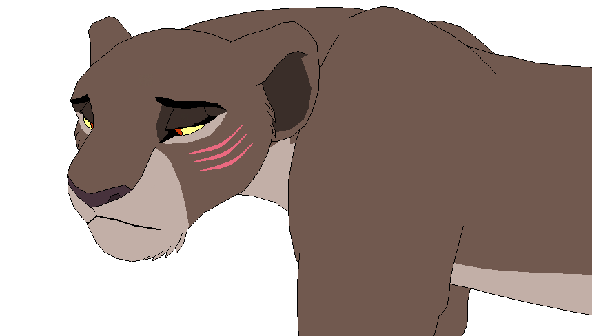 Bunmi's Scars