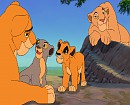 Nala, Fluffy and her cubs