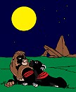 Une nuit etoilée