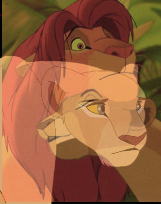 I'm Sorry