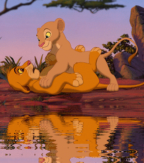 Simba and Nala by the Water