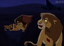 Kiara's Death
