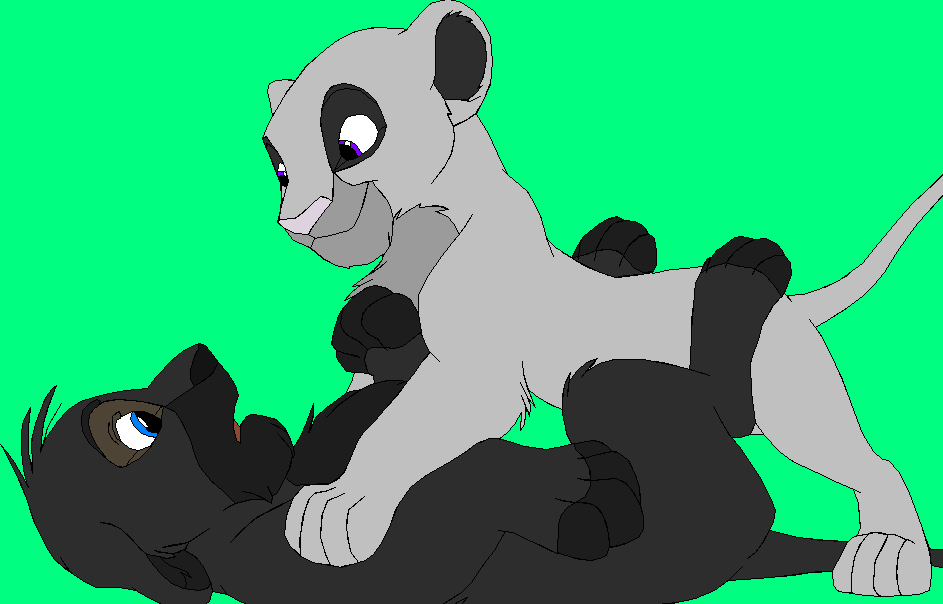 Design Request for Pierules6
