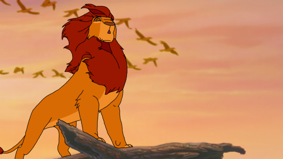 The King of the Pride Lands