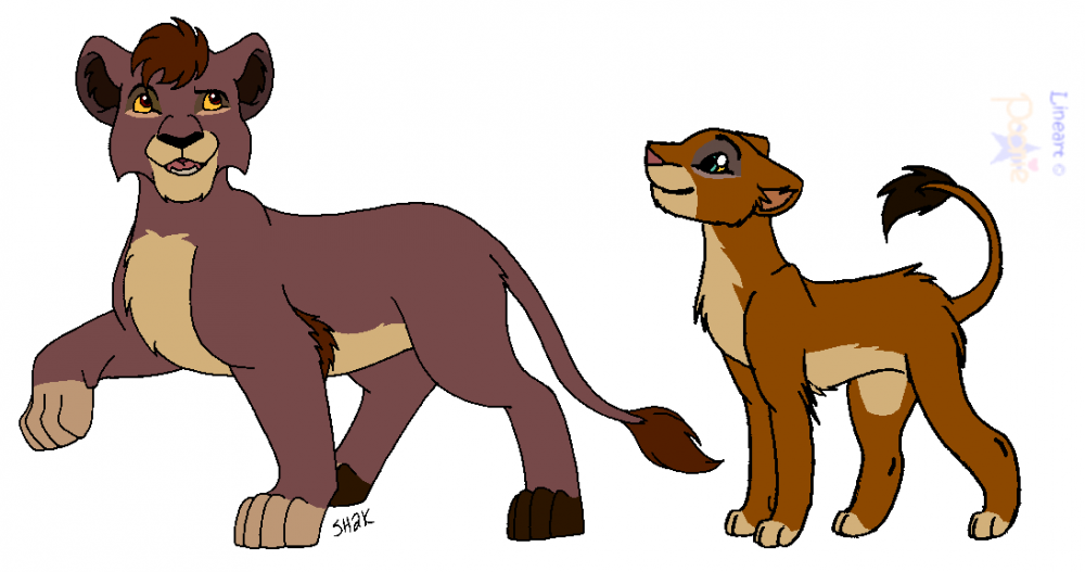 Roscuro and Sahara Fancubs