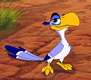 The Bird is Back
