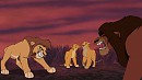 Family Dispute