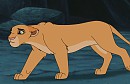 Trade with mixed cats - Dawn