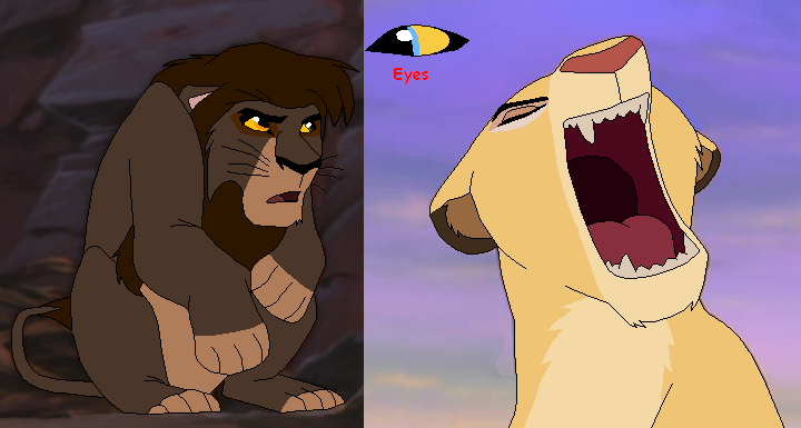 Lion Adoptables. o:
