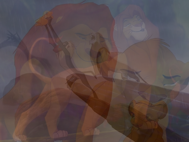 Simba's Life