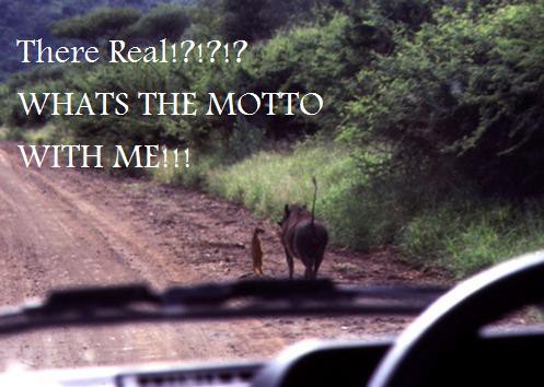 WHATS THE MOTTO WITH ME!