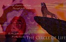 The Circle Of Life