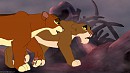Request for mapleshade