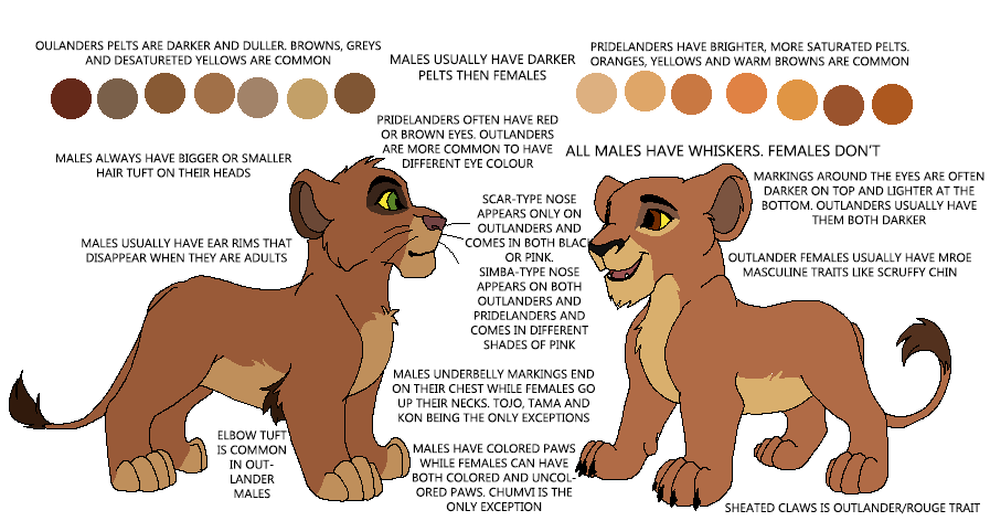 TLK lion tutorial