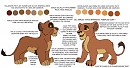 TLK lion tutorial