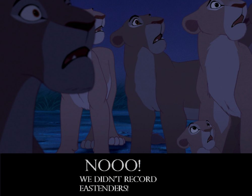 NOOO!