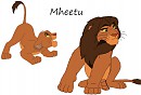 Ma version de Mheetu