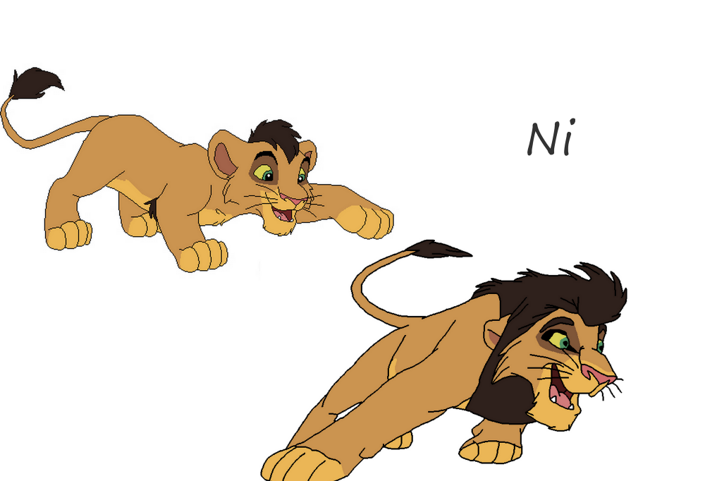 Ma version de Ni
