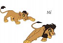 Ma version de Ni