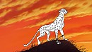 Base #2 : Guépard