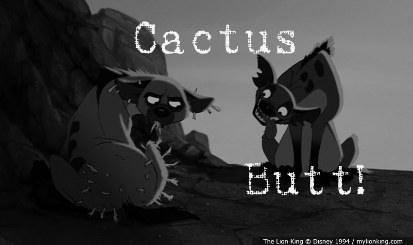 Cactus Butt!