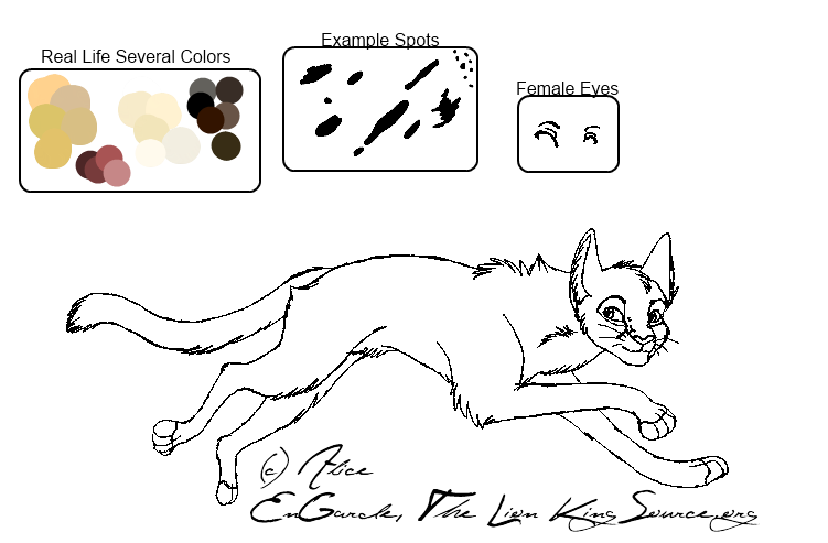 Wild Cats Of Africa Blank 2: Serval