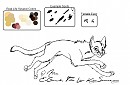 Wild Cats Of Africa Blank 2: Serval