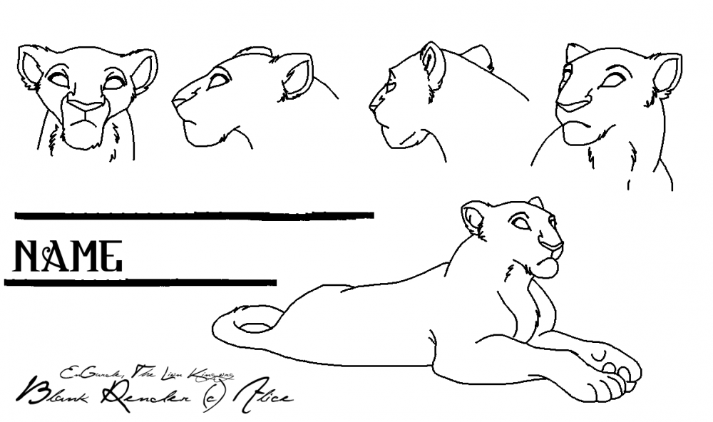 Wild Cats Of Africa Blank 3: Panther/Leopard