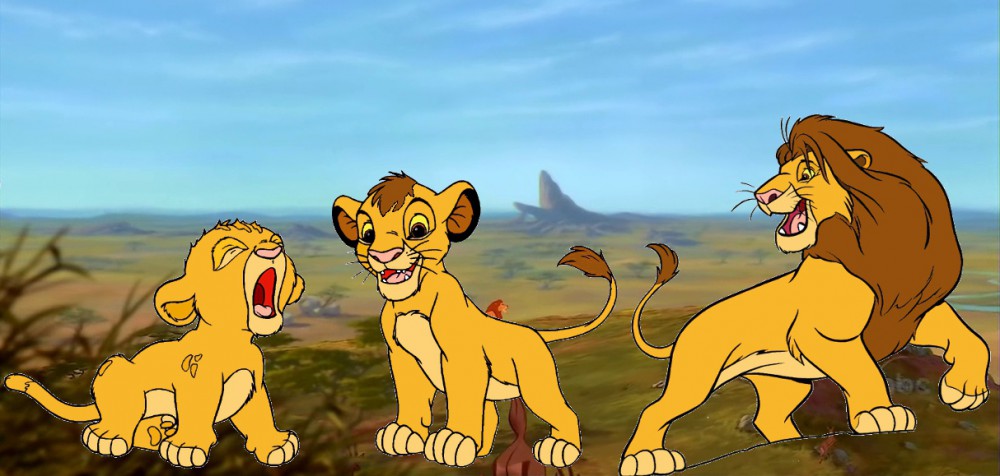 Kopa Adulte, Lionceau et Bébé