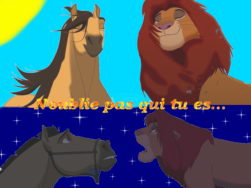 Ressemblances