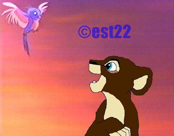 Uri aime les oiseaux