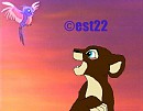 Uri aime les oiseaux