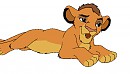 Kopa