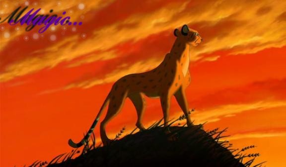 Cheetah avvi for Cass