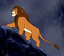 Le roi Mohatu premier roi lion