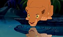 Sarafina qui boie