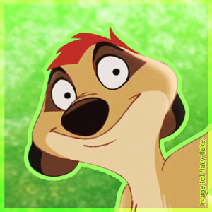 Avatar Timon - That all i need