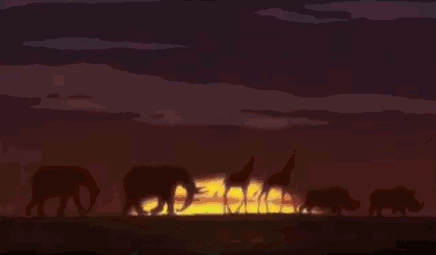 Sunrise Animation