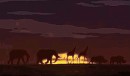 Sunrise Animation