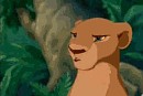 Nala animation :3