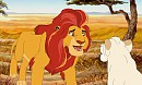 Adult Kion and random lioness