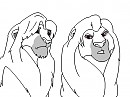 2 lions render