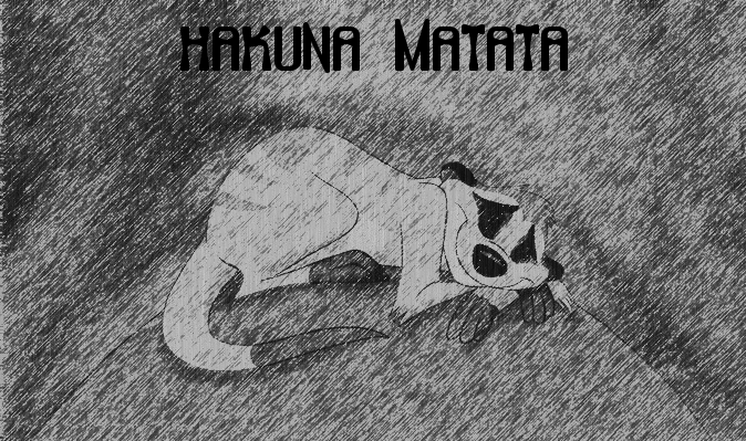 hakuna matata