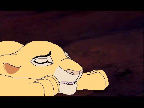 La tristesse de Nala