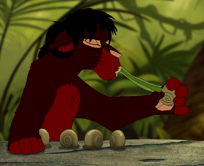 Concour contre Simba