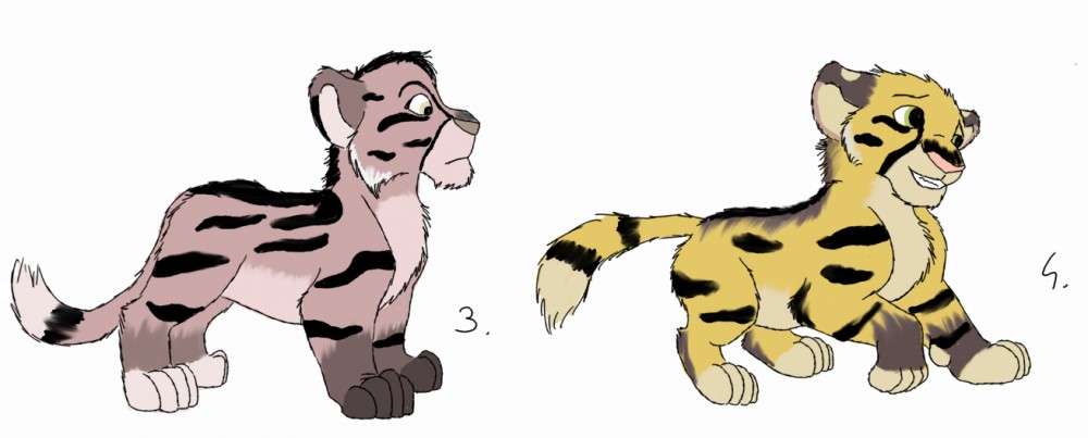 Adoptions ( 3 & 4 )