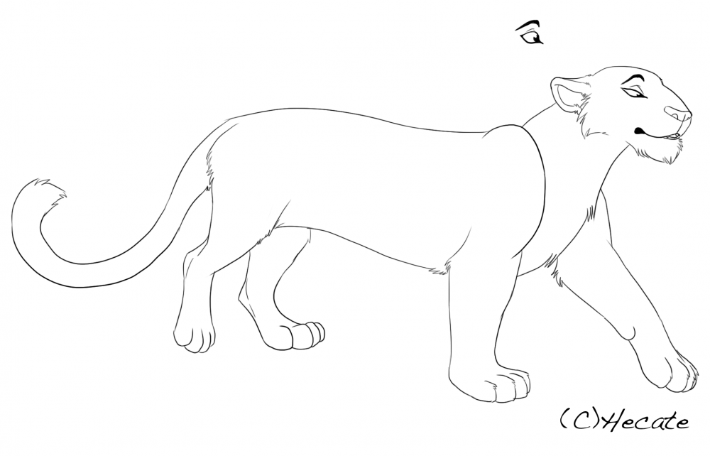 African leopard lineart 